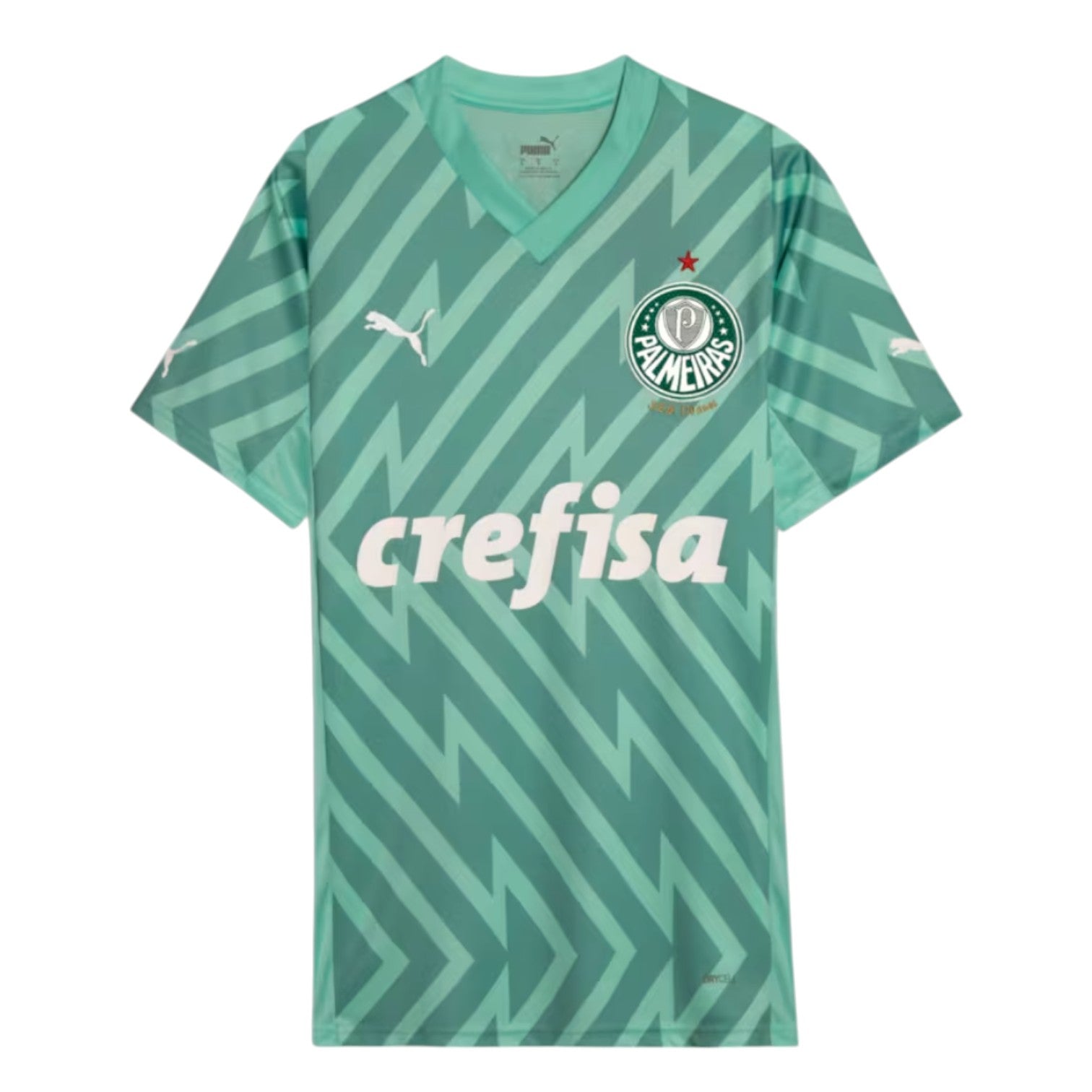 Palmeiras Goalkeeper III Jersey 2024/2025