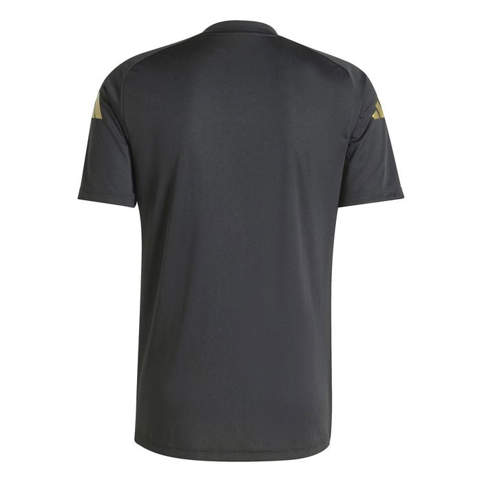 Argentina Pre-Juego Jersey 2024/2025