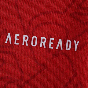 Arsenal Home Jersey 2025/26 Long Sleeve